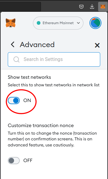 Metamask show test networks button